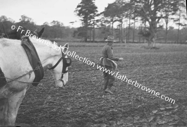 SOWING EARLY WHEAT